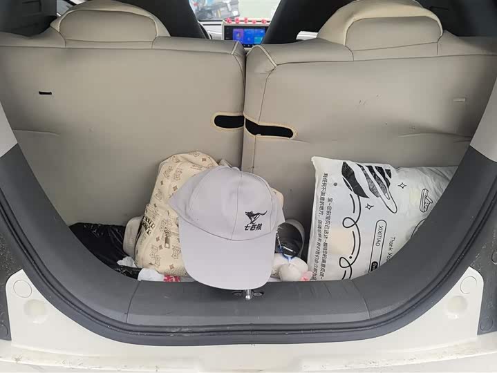 Фото 4 - Geely Galaxy Panda Mini