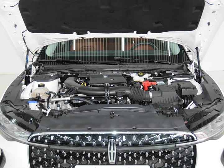 Photo 6 - Lincoln Z (Zephyr)