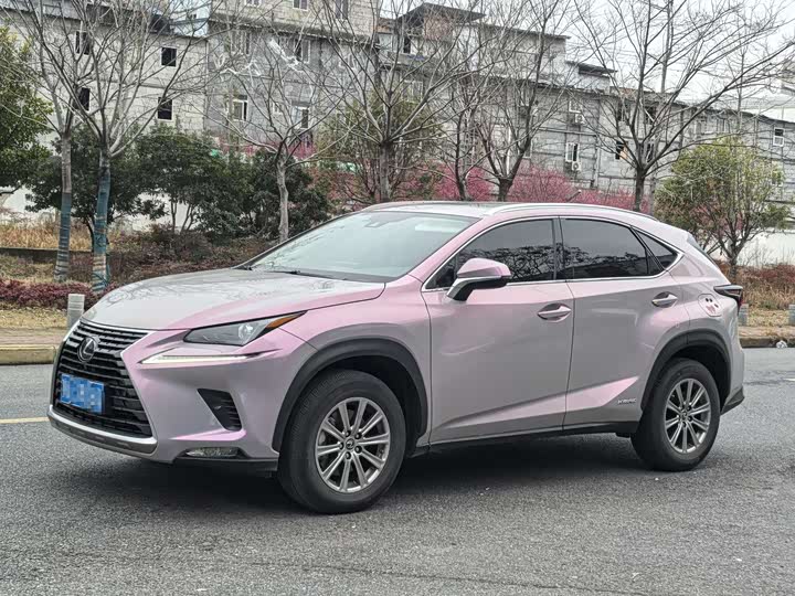 Фото 1 - Lexus NX