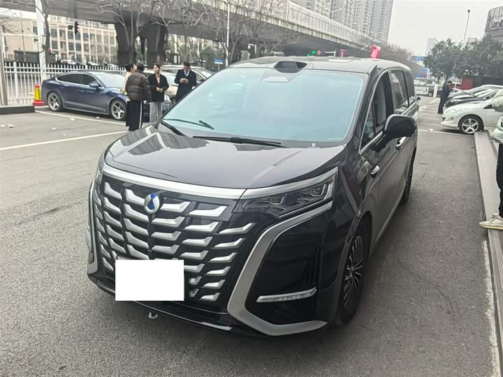 Фото 1 - Denza D9