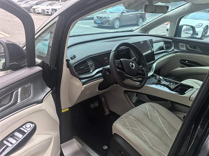 Фото 9 - Denza D9