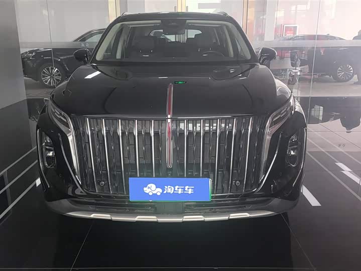 Фото 2 - Hongqi HS7 Hybrid