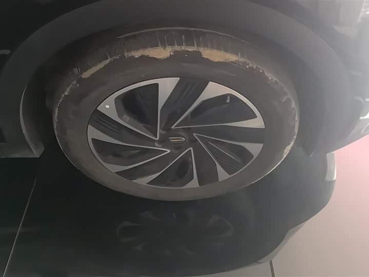 Фото 6 - Hongqi HS7 Hybrid