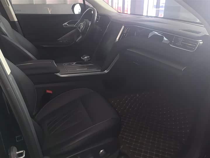 Фото 8 - Hongqi HS7 Hybrid