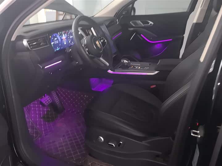 Фото 9 - Hongqi HS7 Hybrid