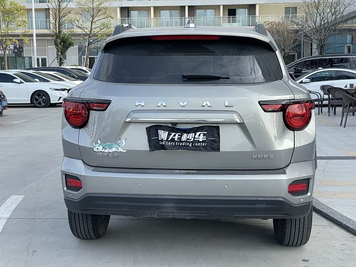 Фото 3 - Haval H-Dog