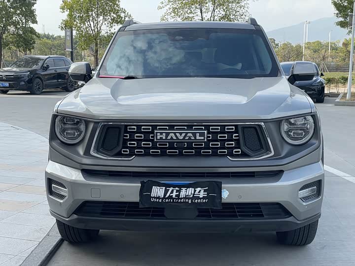 Фото 6 - Haval H-Dog