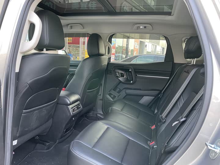 Фото 8 - Haval H-Dog