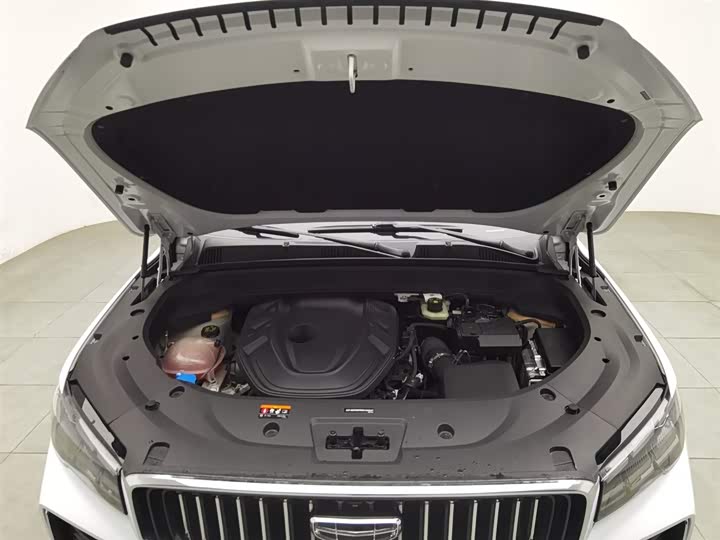 Фото 6 - Geely Monjaro