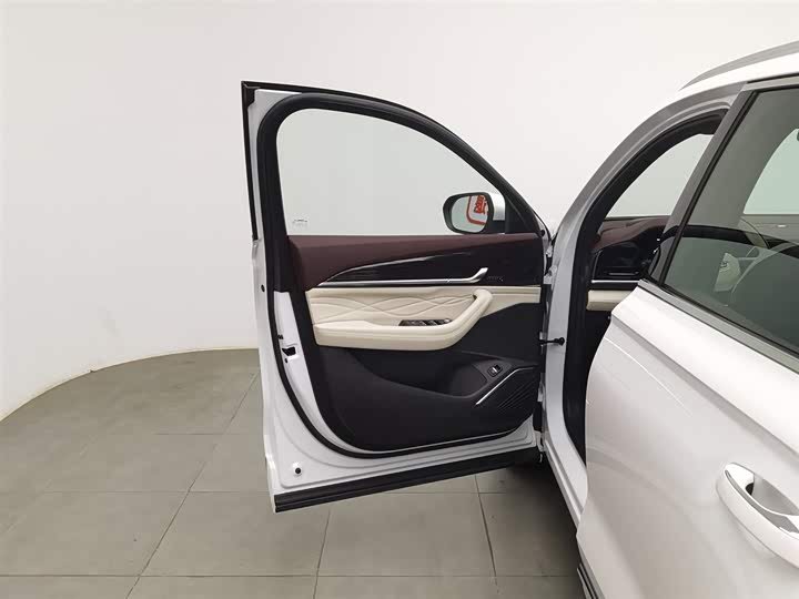 Фото 8 - Geely Monjaro