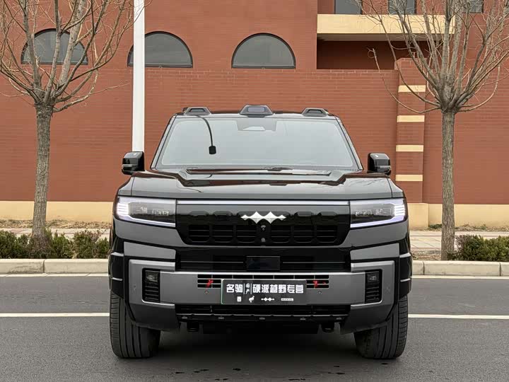 Фото 2 - BYD FangChengBao Leopard 8