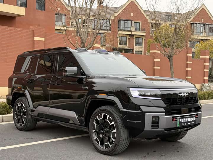 Фото 5 - BYD FangChengBao Leopard 8