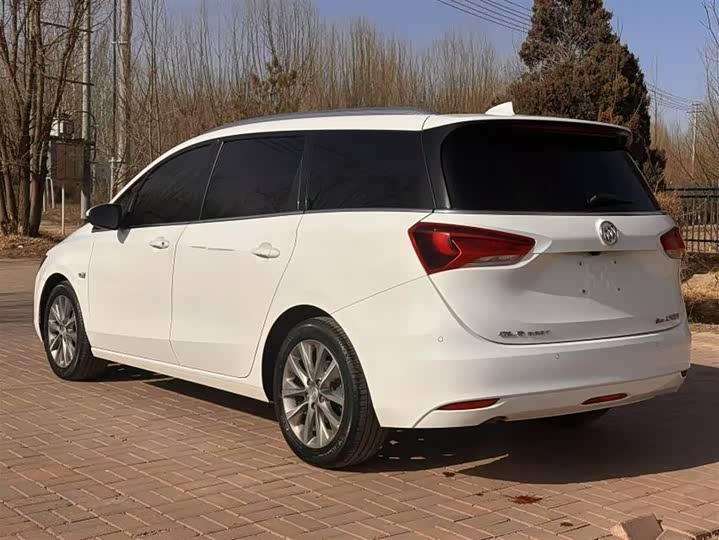 Фото 3 - Buick GL6