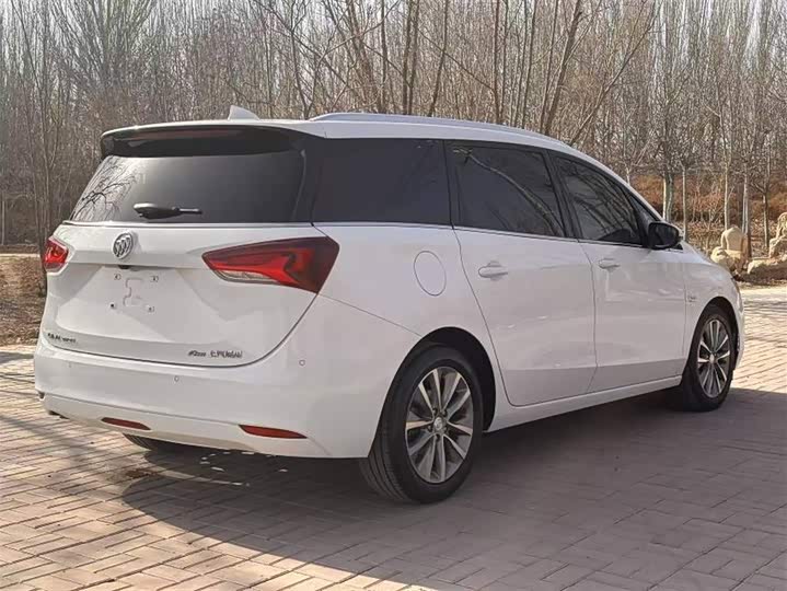 Фото 4 - Buick GL6