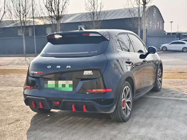 Фото 9 - Ora Good Cat (03)