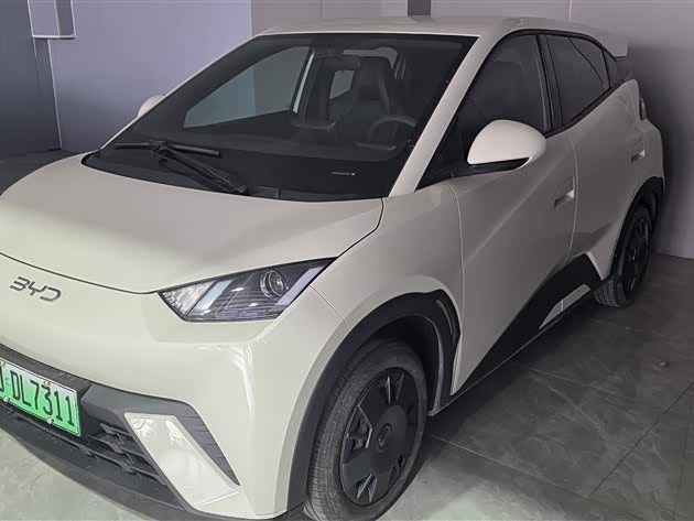 Фото 1 - BYD Seagull