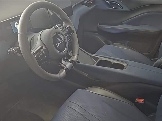 Фото 2 - BYD Seagull