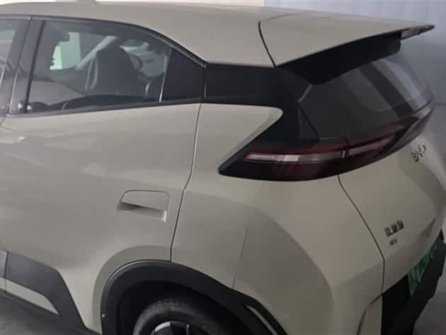 Фото 4 - BYD Seagull