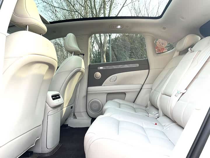 Фото 6 - IM motors LS6