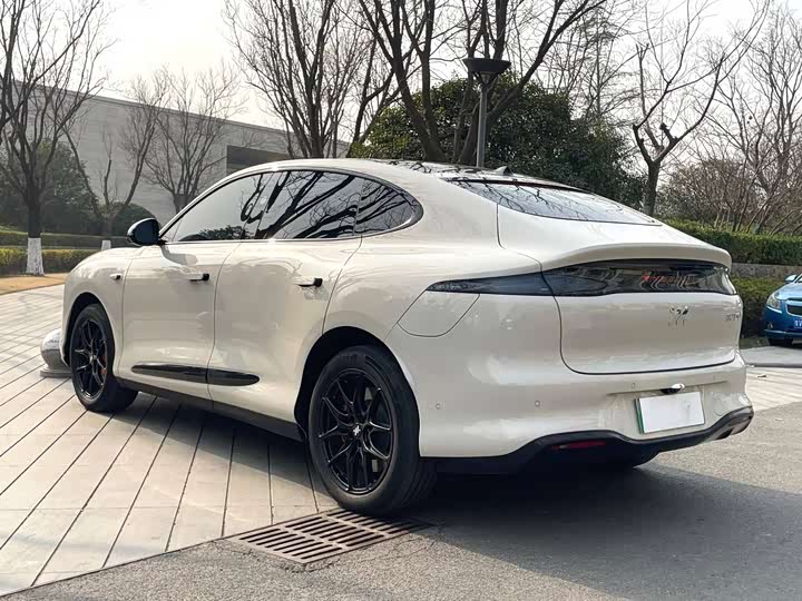 Фото 7 - IM motors LS6