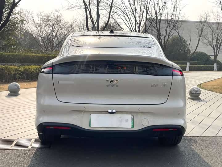 Фото 8 - IM motors LS6