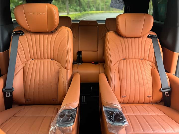 Фото 6 - GAC Trumpchi E9