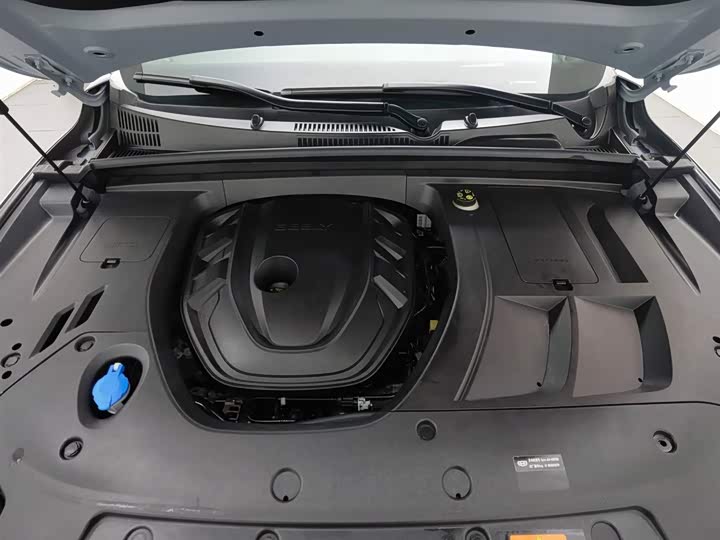 Фото 6 - Geely Tugella S