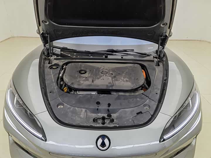 Фото 5 - Denza Z9GT