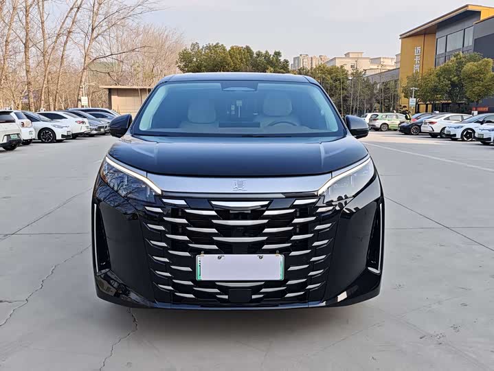 Фото 2 - BYD Xia