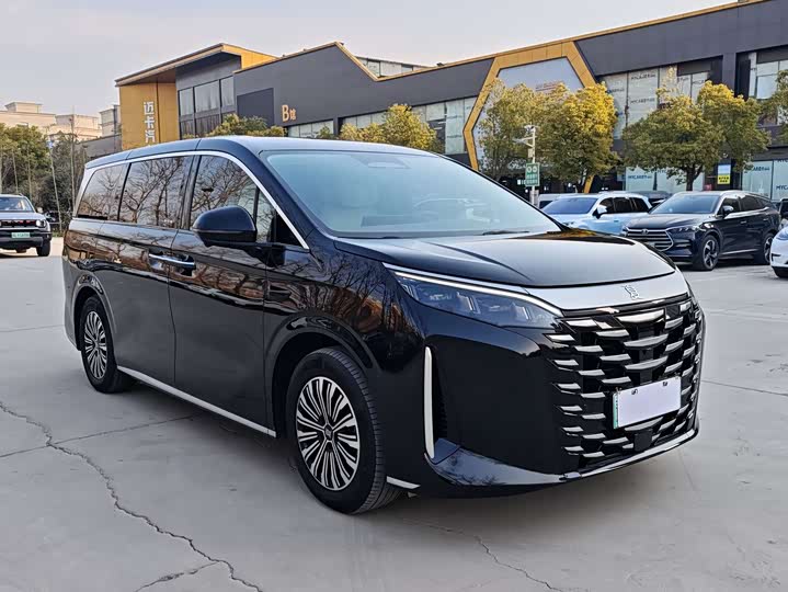 Фото 3 - BYD Xia