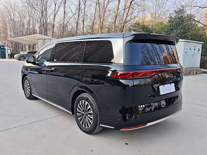 Фото 4 - BYD Xia