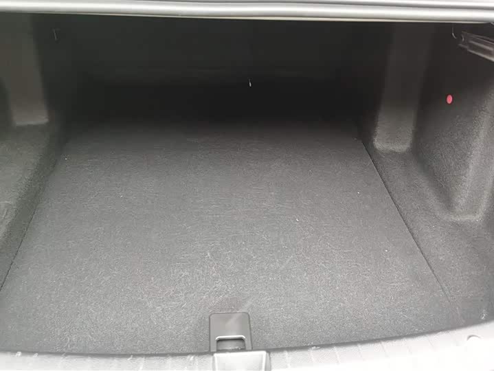 Фото 4 - BYD Qin Plus