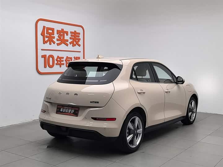 Фото 2 - Ora Good Cat (03)