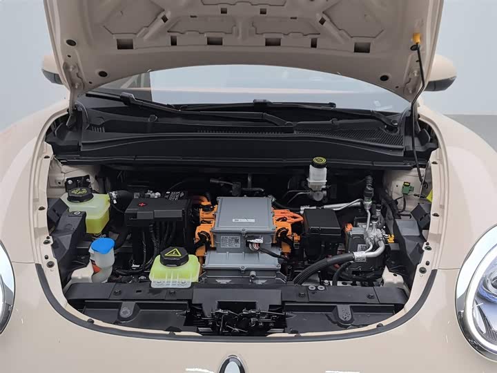 Фото 6 - Ora Good Cat (03)