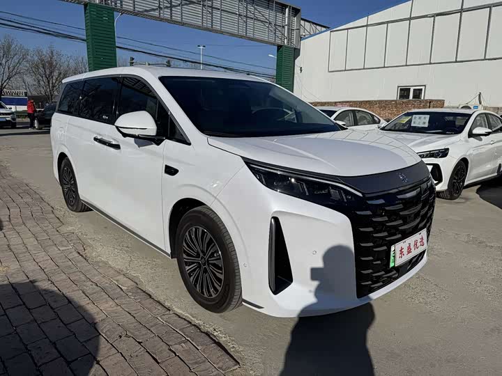 Фото 3 - BYD Xia