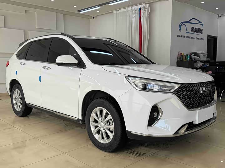 Фото 3 - Haval M6