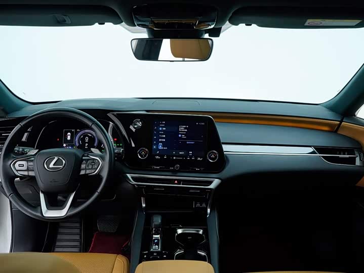 Фото 3 - Lexus RX