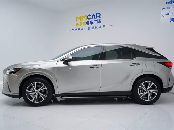 Фото 4 - Lexus RX