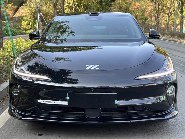 Фото 2 - IM motors L6