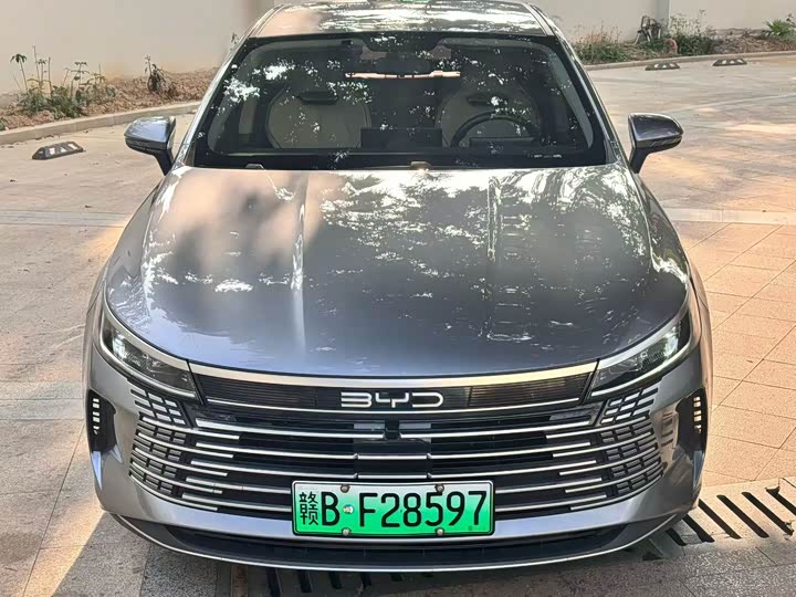 Фото 2 - BYD Destroyer 05