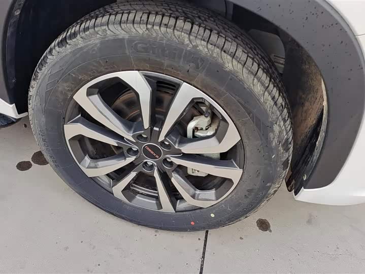 Фото 6 - Exeed LX C-DM Hybrid