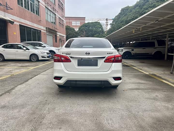 Фото 3 - Nissan Sylphy