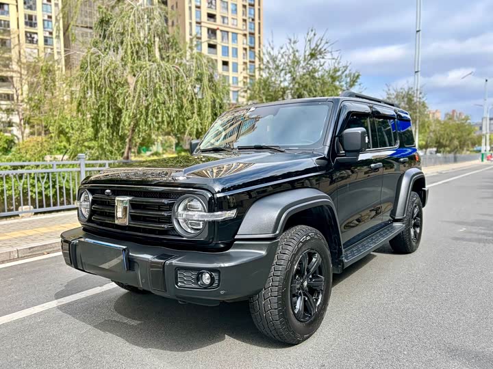 Фото 1 - Tank 300