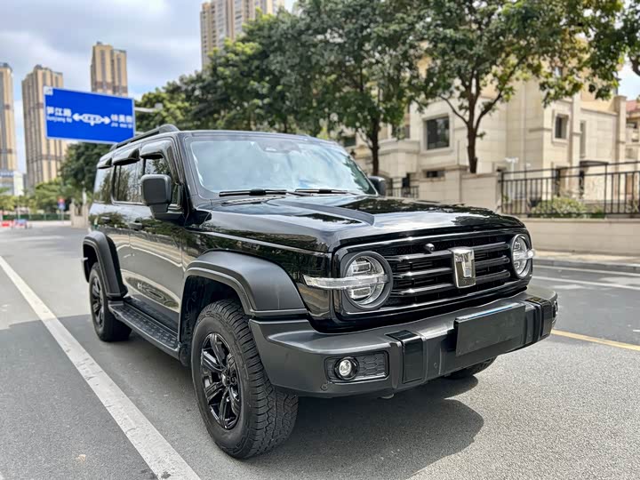 Фото 3 - Tank 300