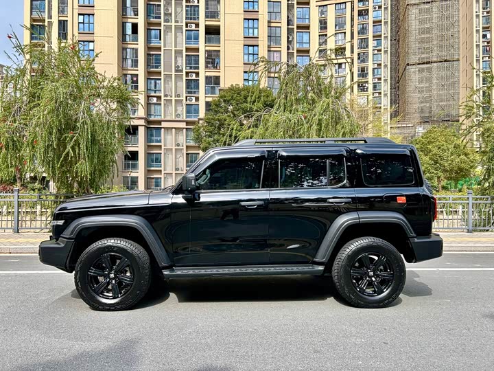 Фото 4 - Tank 300