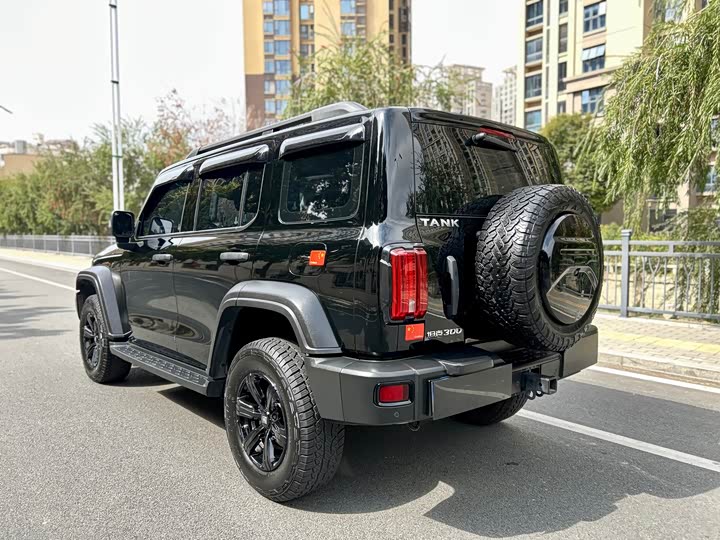 Фото 5 - Tank 300