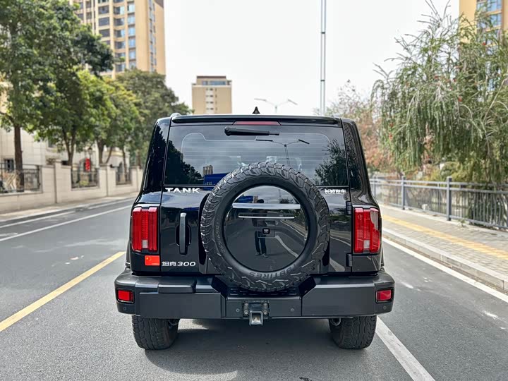 Фото 6 - Tank 300