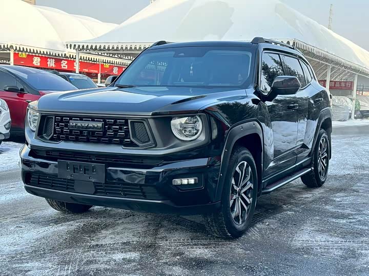 Фото 2 - Haval H-Dog