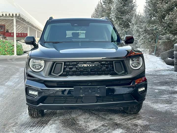 Фото 3 - Haval H-Dog