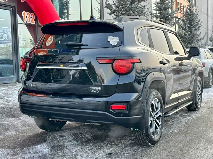 Фото 7 - Haval H-Dog